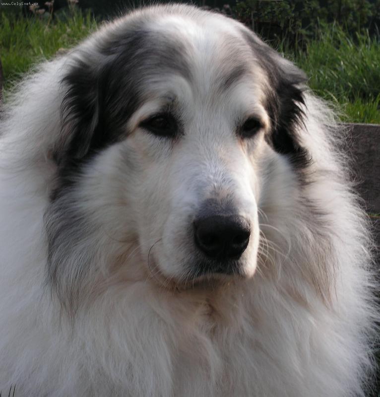 Foto: Monty-Monty